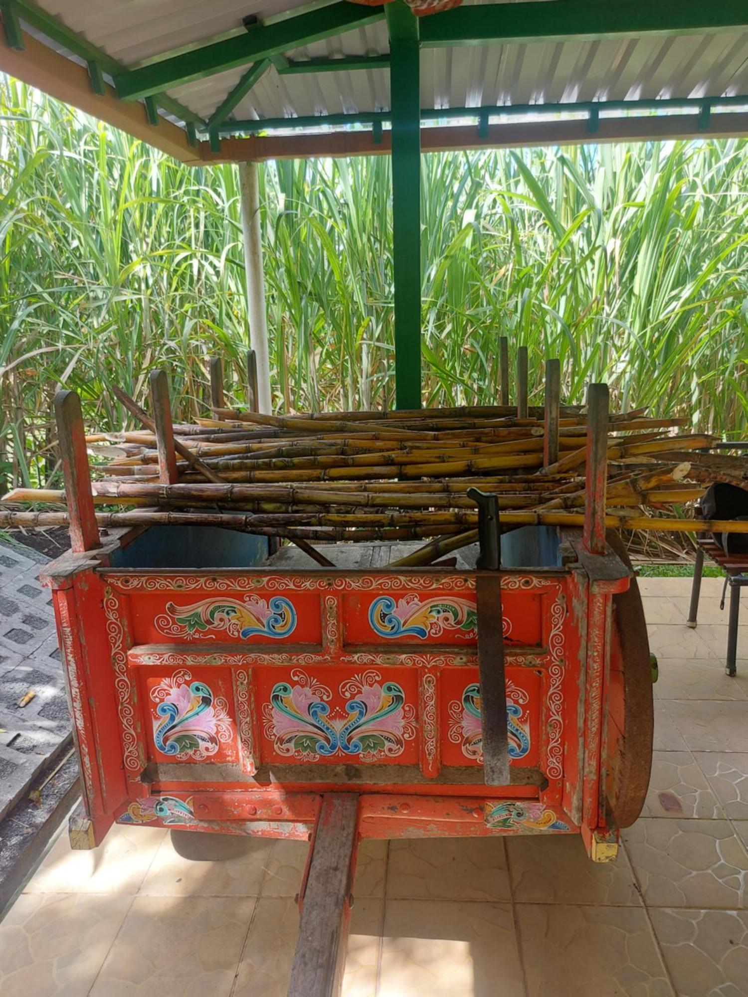 Alisson Hotel Y Restaurant Monteverde Ngoại thất bức ảnh